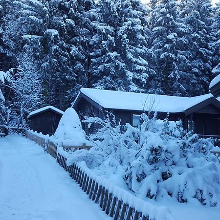 Waldsee-Ferienhaus-Mit-Kamin-W-Lan 克劳斯塔尔-采勒费尔德 外观 照片