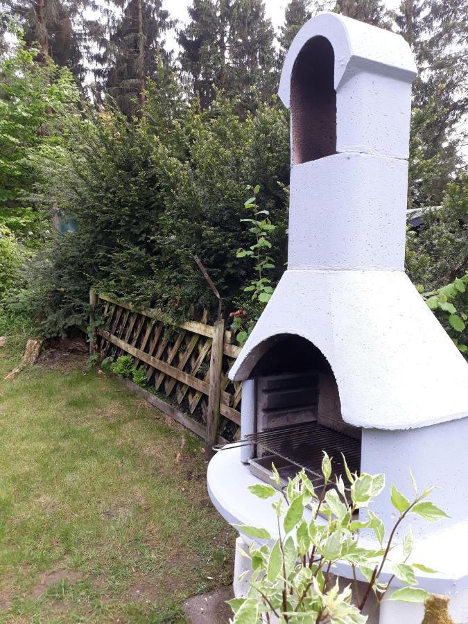 Waldsee-Ferienhaus-Mit-Kamin-W-Lan 克劳斯塔尔-采勒费尔德 外观 照片