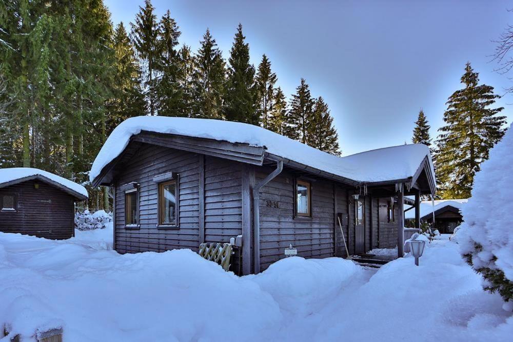 Waldsee-Ferienhaus-Mit-Kamin-W-Lan 克劳斯塔尔-采勒费尔德 外观 照片