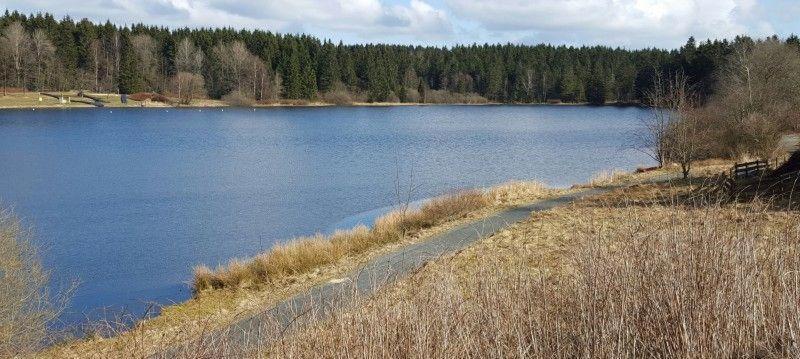 Waldsee-Ferienhaus-Mit-Kamin-W-Lan 克劳斯塔尔-采勒费尔德 外观 照片