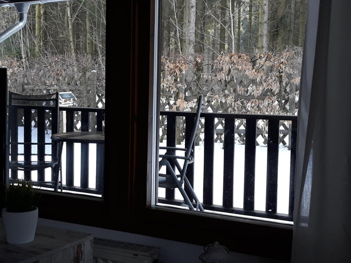 Waldsee-Ferienhaus-Mit-Kamin-W-Lan 克劳斯塔尔-采勒费尔德 外观 照片